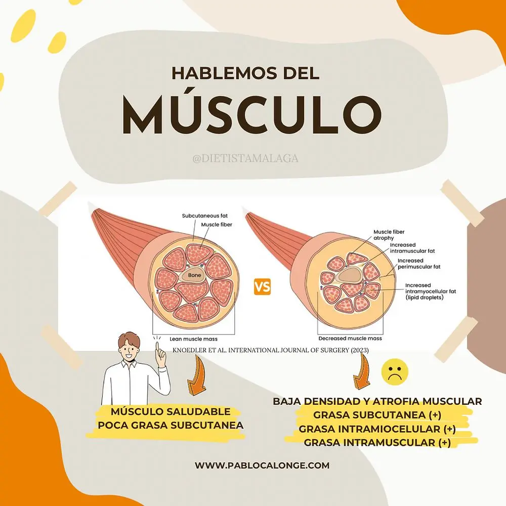 Portada del artículo «Menos báscula y más músculo»
