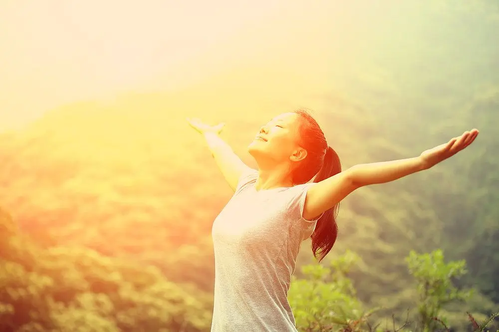Portada del artículo «Vitamina D»